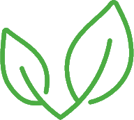 leaves icon