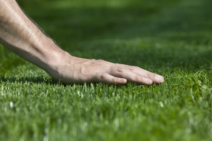 Reliable Lawn Care