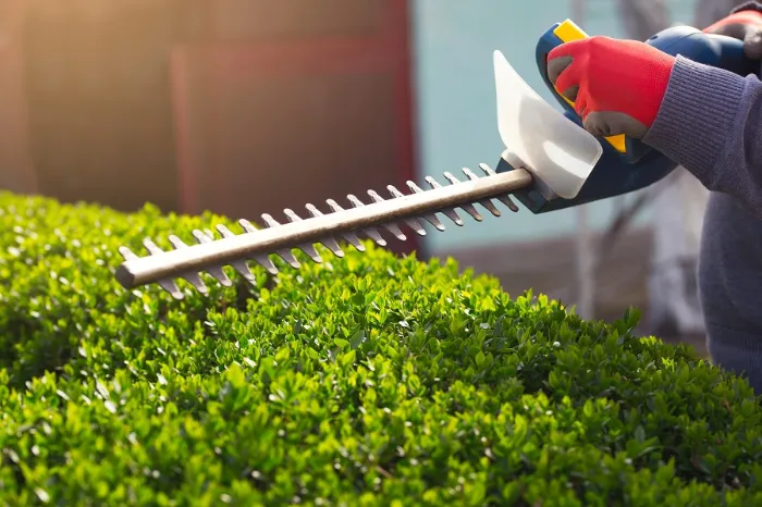 Reliable Shrub Trimming